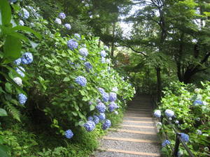 takahatafudou