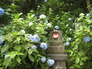 takahatafudou