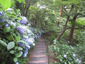 takahatafudou