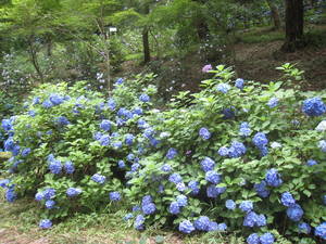 takahatafudou