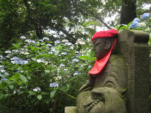 takahatafudou