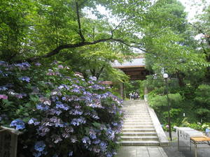 takahatafudou