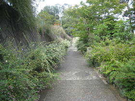 tyoufukuji