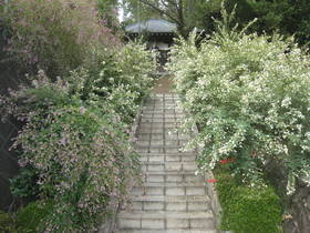 tyoufukuji