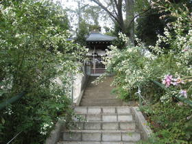 tyoufukuji