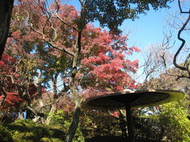 百草園