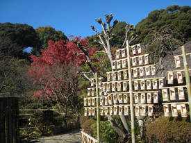 百草園