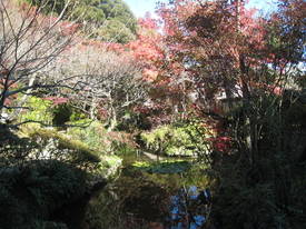 百草園