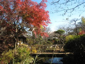 百草園