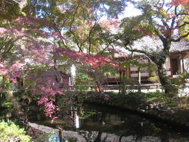 百草園