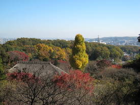 百草園