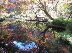 百草園