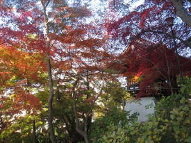 takahata