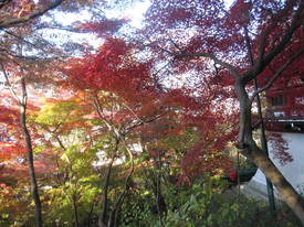 takahata