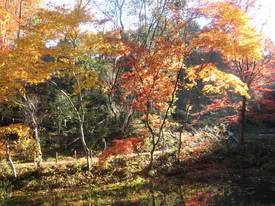 koutokuji