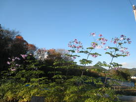 koutokuji