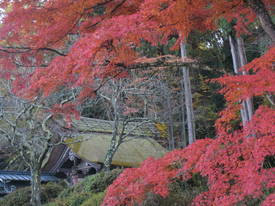 koutokuji