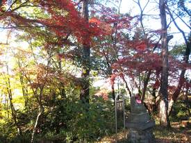 takahata