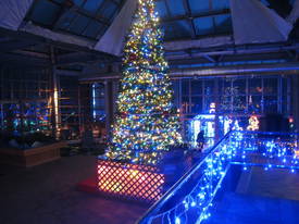 Illuminations