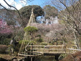momozonoen