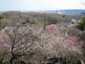 momozonoen