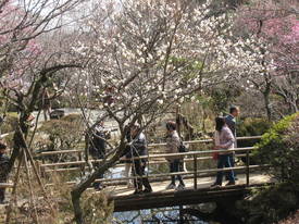 ｍｏｍｏｚｏｎｏｅｎ