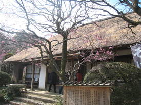 ｍｏｍｏｚｏｎｏｅｎ
