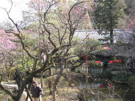 ｍｏｍｏｚｏｎｏｅｎ