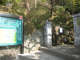ｍｏｍｏｚｏｎｏｅｎ