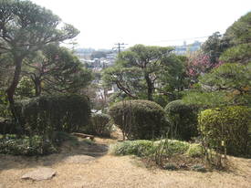 ｍｏｍｏｚｏｎｏｅｎ