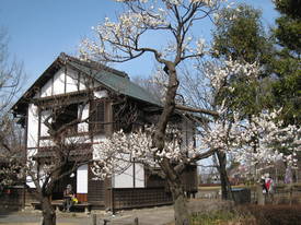 kyodonomori