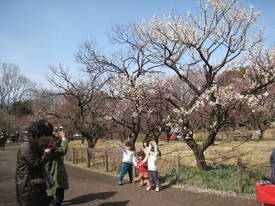 kyodonomori