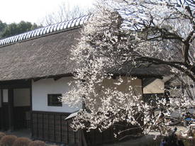 kyodonomori