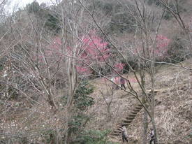 takao