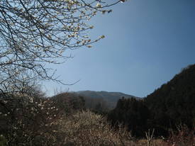 takao