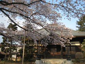 sinkakuji
