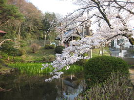 sinkakuji