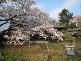 sinkakuji