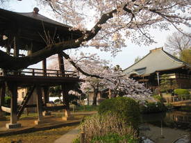 sinkakuji