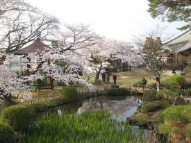 sinkakuji