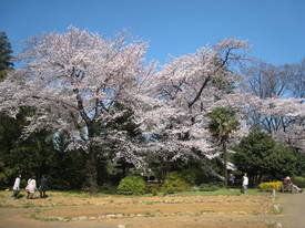 jindai
