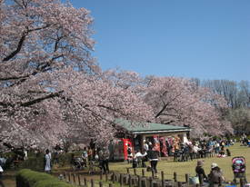jindai