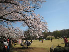 jindai