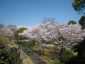 syouwakinenkouen
