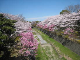syouwakinenkouen