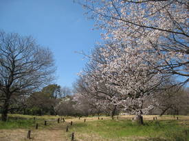 syouwakinenkouen
