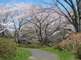 syouwakinenkouen