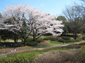 syouwakinenkouen