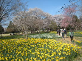 syouwakinenkouen