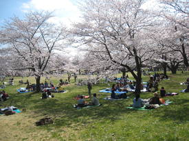 syouwakinenkouen
